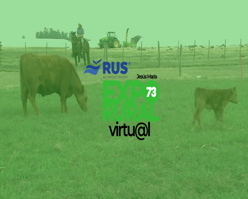 Lote VACA CON CRIA PC ANGUS