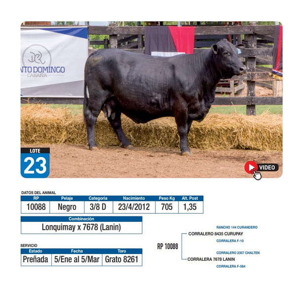 Lote Lonquimay x 7678 (Lanin)