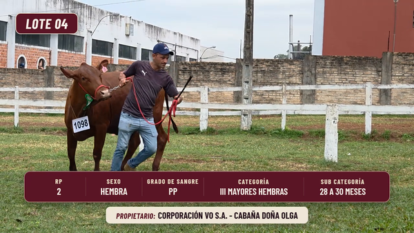 Lote LOTE 4