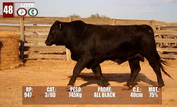 Lote Lote 48