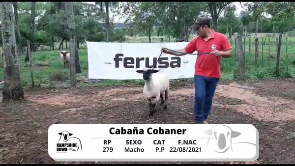 Lote LOTE 8 BOZAL - RP 279