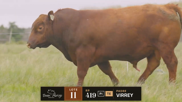 Lote LOTE 11 · TORO PI · RP 419 · TE, 442, 1445