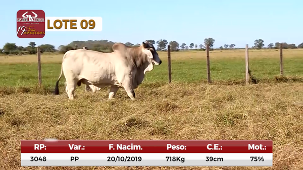 Lote Reproductores de Alborada - Lote 9