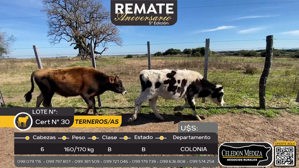 Lote 6 Terneros y Terneras en Paso Hospital,Colonia