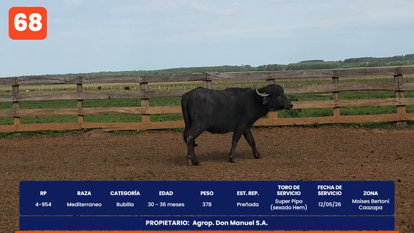 Lote LOTE 68