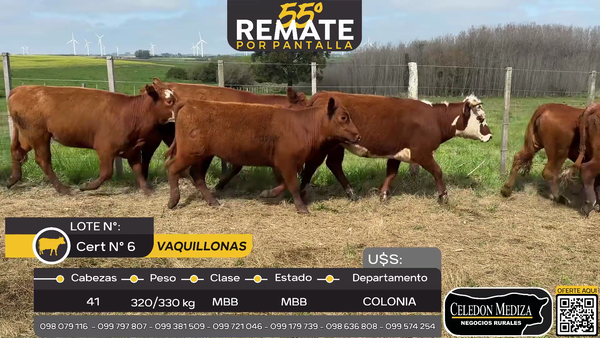 Lote 41 Vaquillonas  en Puntas de Riachuelo, a 8 km de Tarariras, Colonia