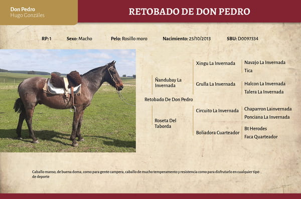 Lote Retobado De Don Pedro (RP 01) - Cabaña Don Pedro
