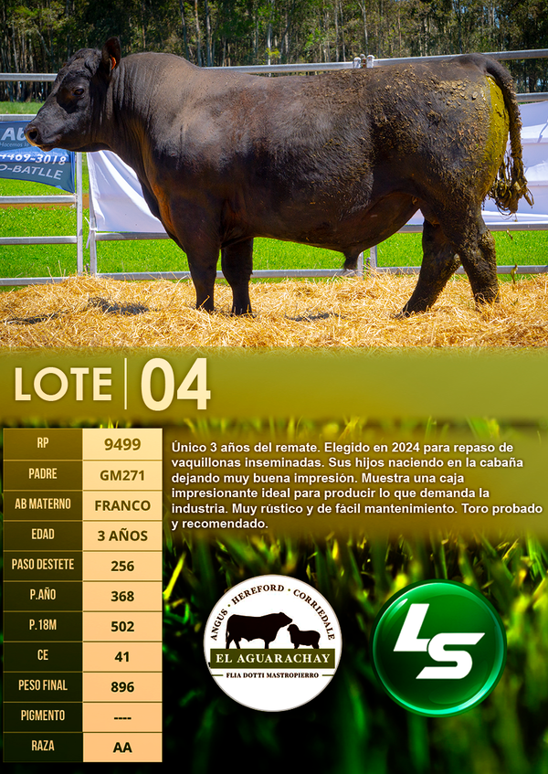 Lote LOTE 04