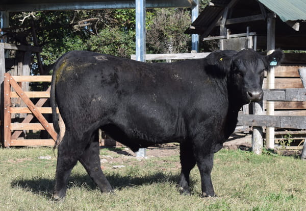 Lote CABAÑA “COEMBOTÁ” de Calderón RP 106
