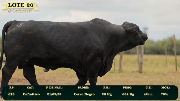 Lote LOTE 20