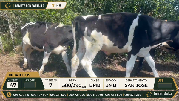 Lote 7 Otros en Colonia