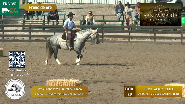 Lote YUBELY SASTRE 1022 - MUSSELLI BENEDETTO, CESAR ANDRES