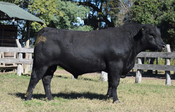 Lote CABAÑA “COEMBOTÁ” de Calderón RP 093