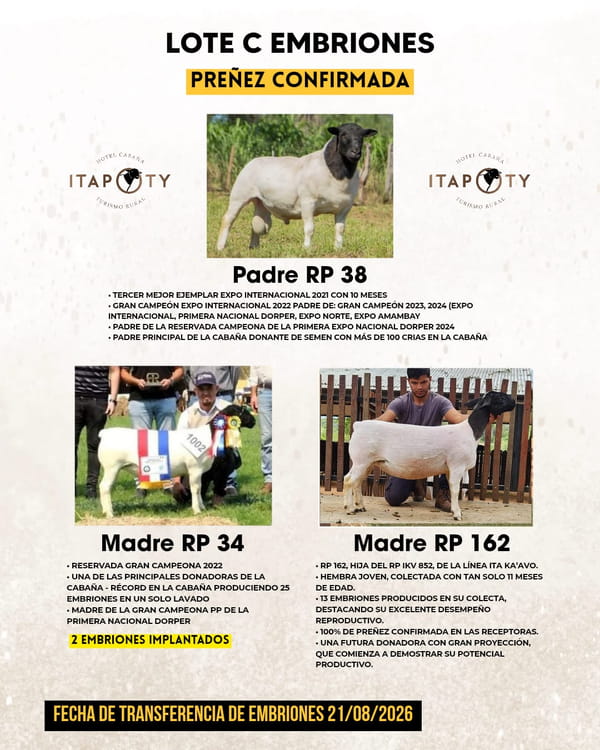 Lote LOTE C