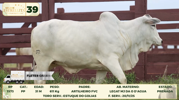 Lote LOTE 39