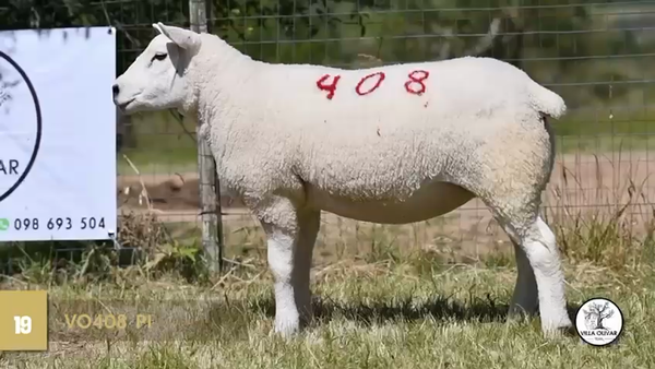 Lote Borregas, Canelones