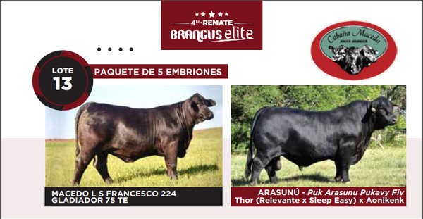 Lote Lote 5 embriones