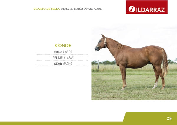 Lote CONDE