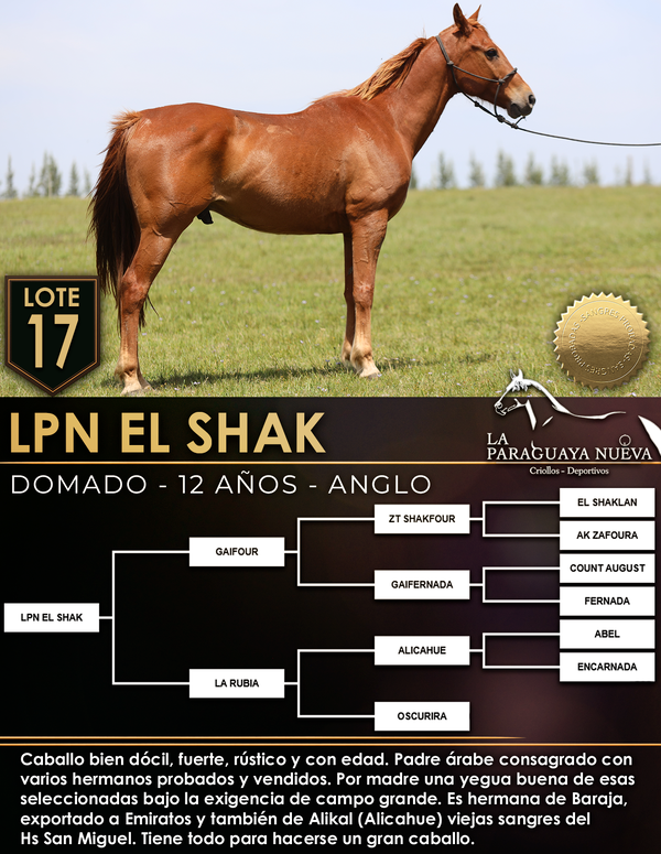 Lote LPN EL SHAK