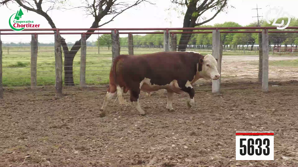 Lote Hereford