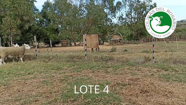 Lote Lote 4 - Colinas del Rosario