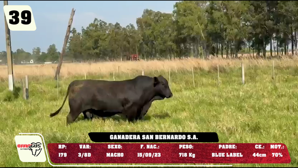 Lote LOTE 39 - DE CAMPO