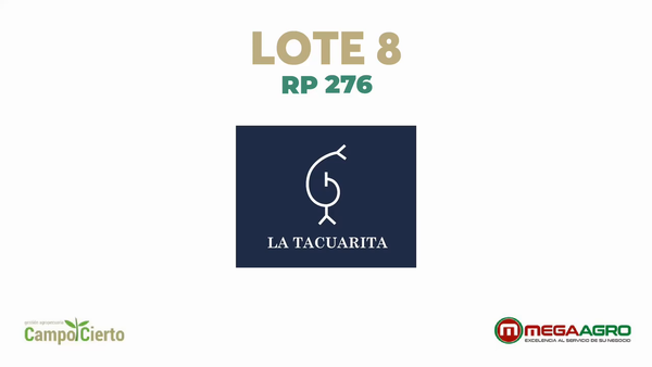Lote LA TACUARITA