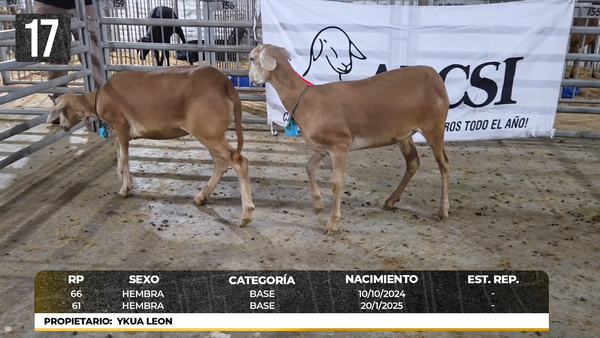 Lote LOTE 17