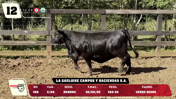 Lote LOTE 12