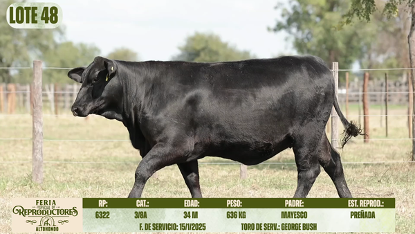Lote LOTE 48
