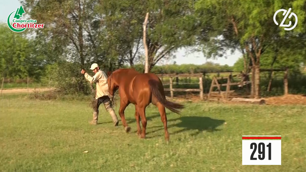 Lote Cuarto de Milla