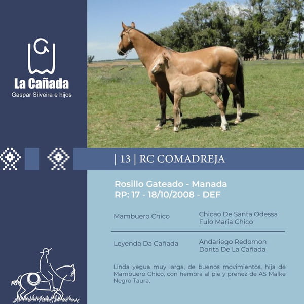 Lote RC Comadreja (RP 17) Cabaña "La Cañada"