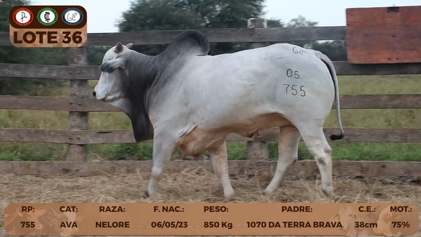 Lote LOTE 36- RESERVA DE CABAÑA