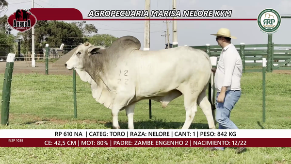 Lote TORO