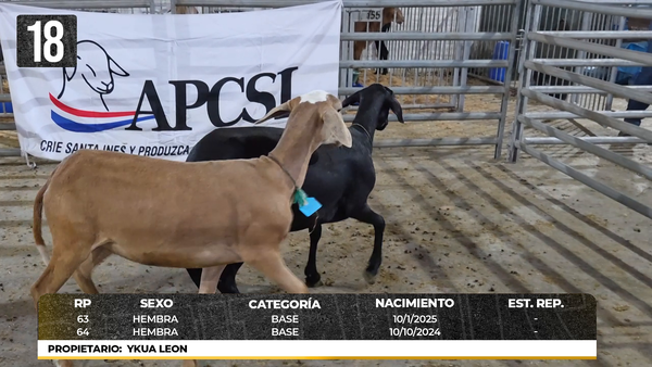Lote LOTE 18