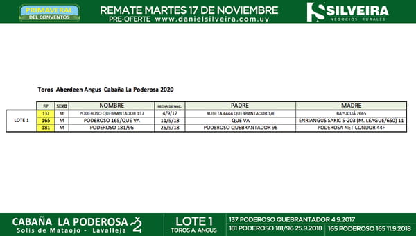 Lote Cabaña La Poderosa