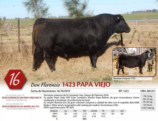 Lote TORO