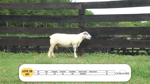 Lote Lote 39- AO