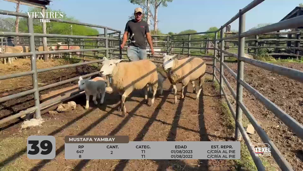 Lote LOTE 39