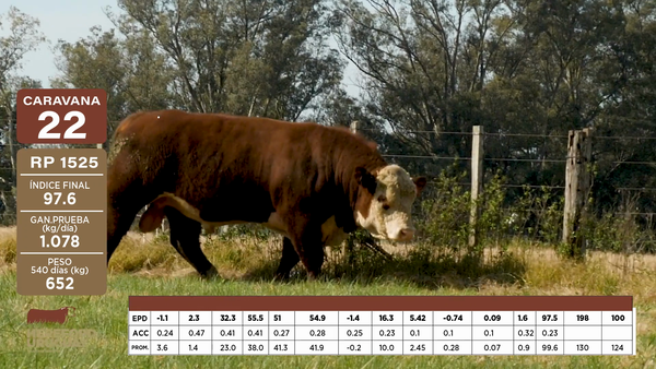 Lote Caravana 22 "RINCON DE FRANCIA"