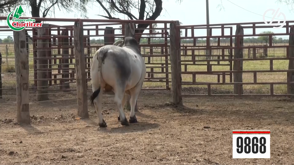 Lote Brahman