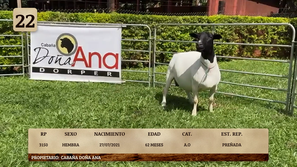 Lote LOTE 22