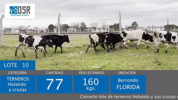 Lote 77 Terneros, Florida
