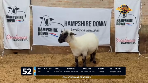 Lote LOTE 52