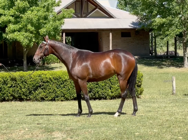 Lote FAX CINTHYA(SOUTH LAKE - FAX CECI)