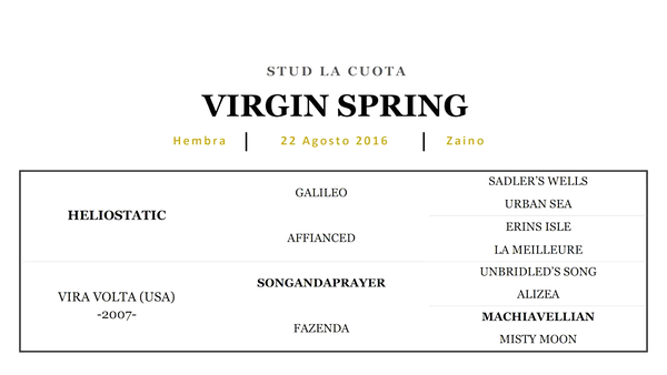 Lote VIRGIN SPRING (HELIOSTATIC - VIRA VOLTA)