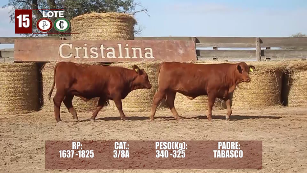 Lote Lote 15 Reserva de Cabaña