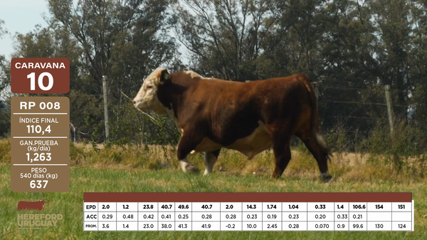 Lote Caravana 10 "James Thompson"