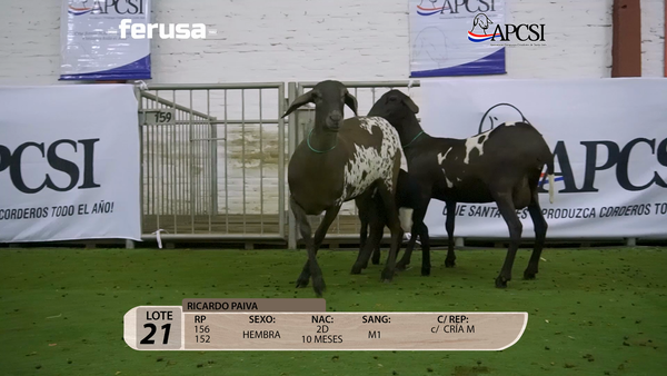 Lote Nacional Santa Inés Campo - Lote 21