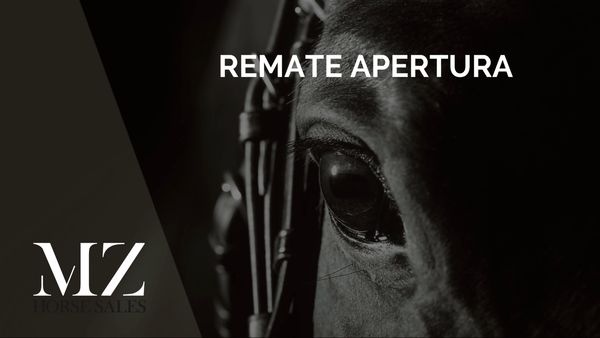 Lote INSTANT PRIZE (PAINTER - ILLINOIS LADY)